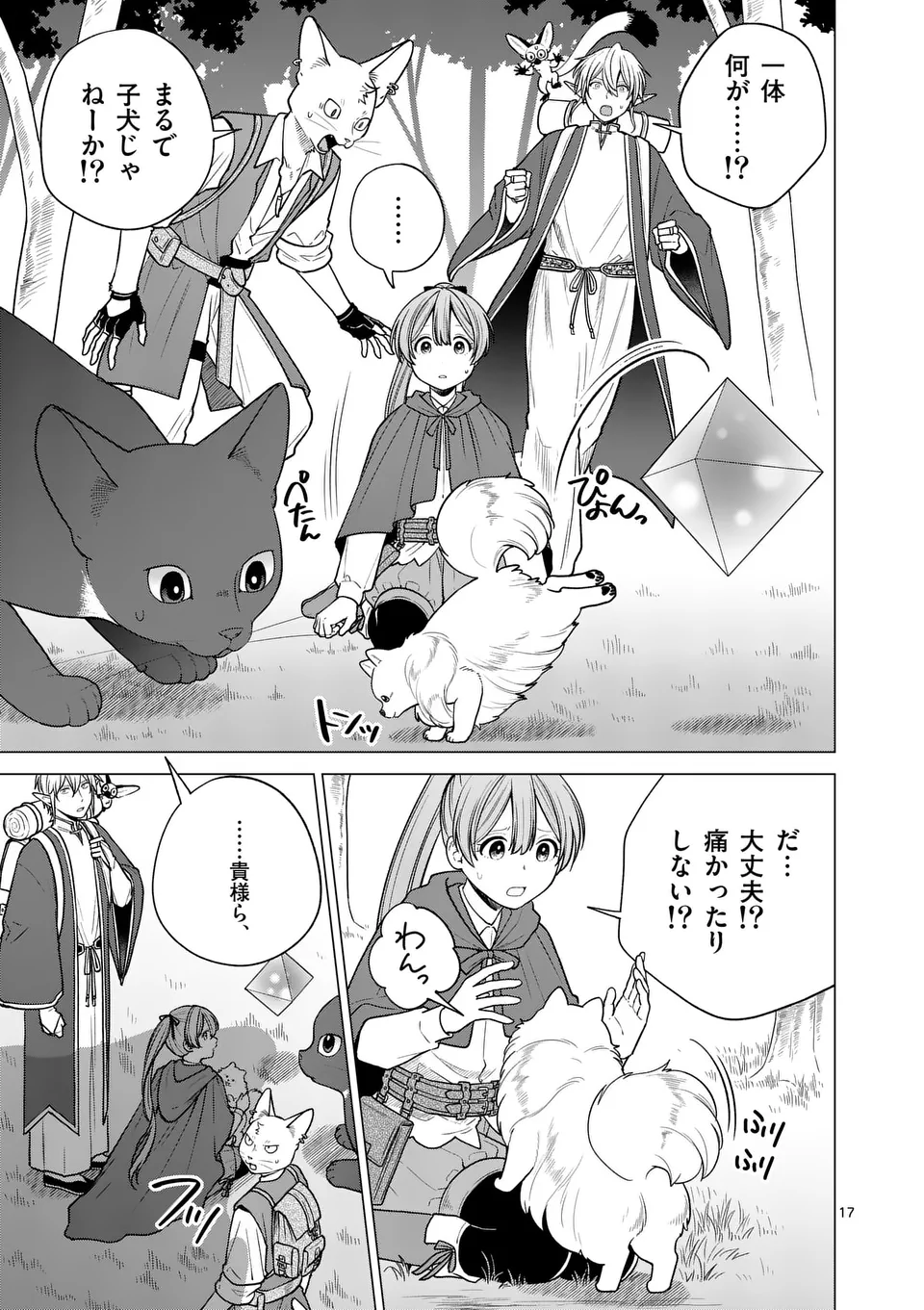 Isekai Pomeranian to Niji no Mofumofu Tabi - Chapter 23 - Page 17